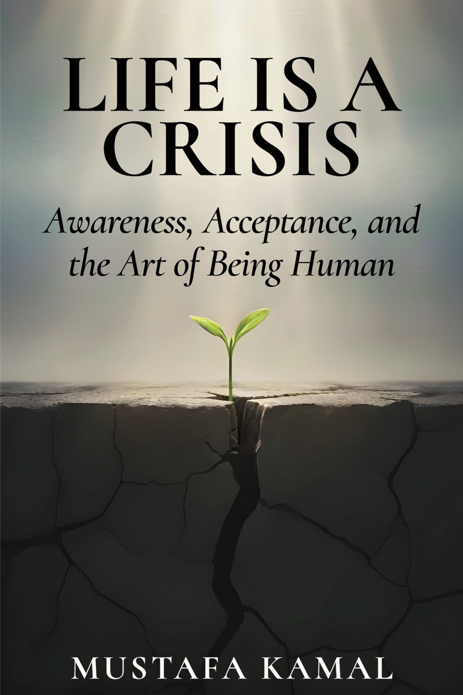 Life is Crisis - Scaled